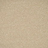Beachcomber Primo Plus Carpet by Cormar