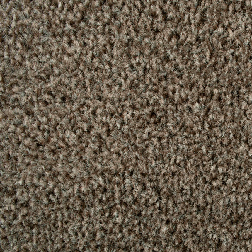 Beaver 965 Dublin Heather Twist Actionback Carpet Clearance