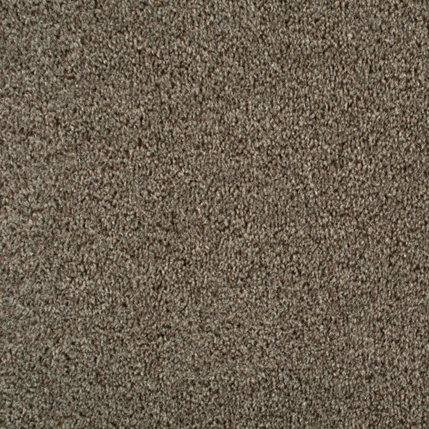 Beaver 965 Dublin Heather Twist Actionback Carpet Clearance