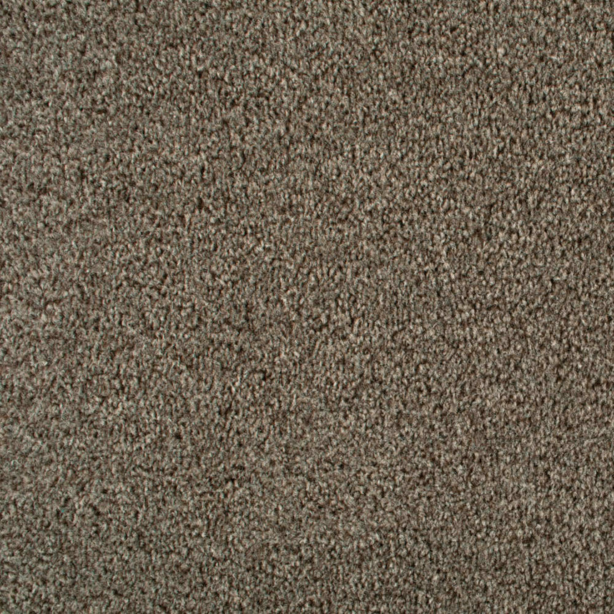 Beaver 965 Dublin Heather Twist Actionback Carpet 5m x 5m Remnant