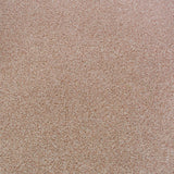 Dublin Heather Twist Actionback Carpet Clearance