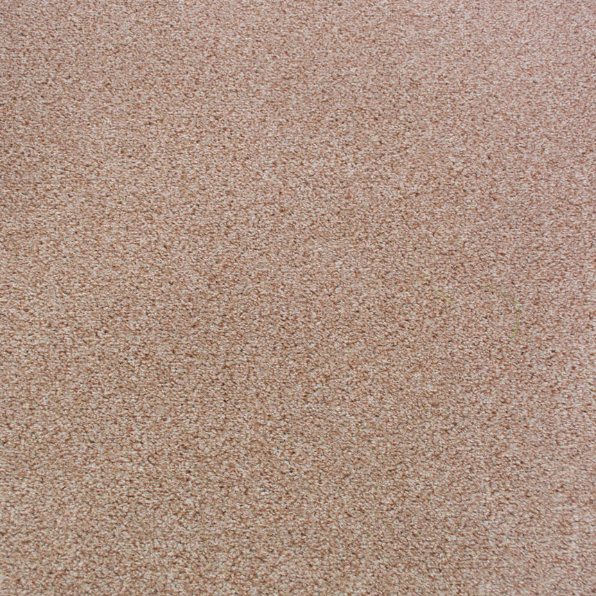 Beige 330 Dublin Heather Twist Actionback Carpet 4.01m x 5m Remnant