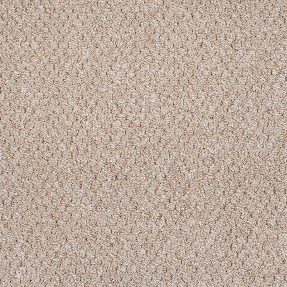 Beige 5913 Alabama Loop Carpet Felt Backed Loop Carpet Online Carpets beige-5913-alabama-loop-carpet-felt-backed-loop-carpet-online-carpets