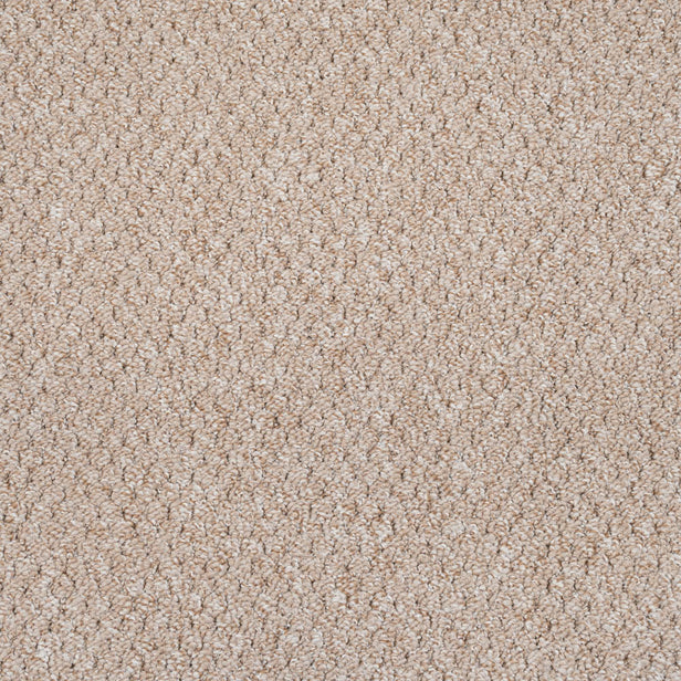 Beige 5913 Alabama Loop Carpet