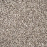 Beige Dovecote Saxony Carpet