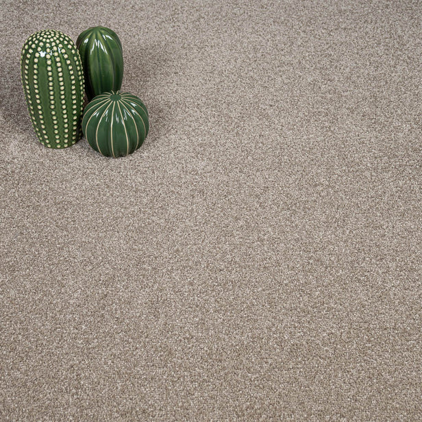 Beige Dovecote Saxony Carpet