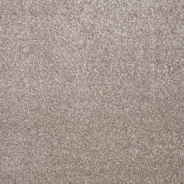 Delaware Saxony Carpet Buy Delaware Saxony Carpet Online