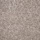Beige Grey Delaware Saxony Carpet