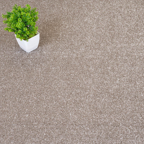 Beige Grey Delaware Saxony Carpet