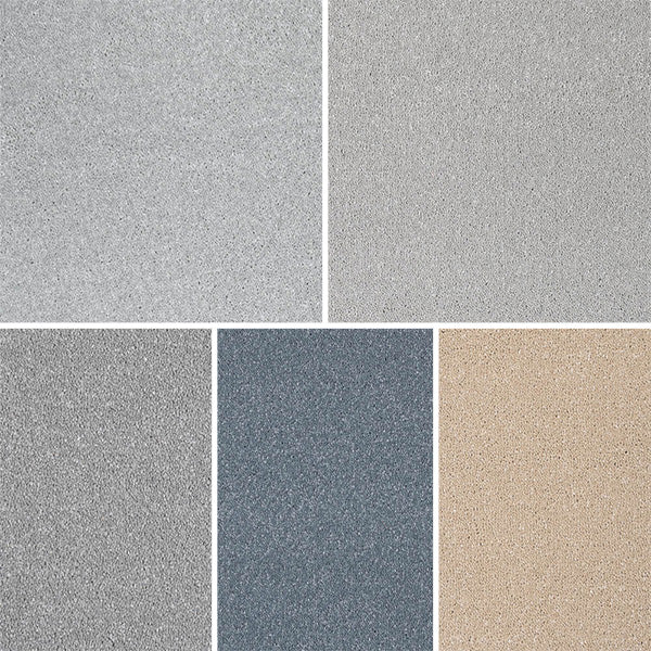 Bellevue Saxony Carpet