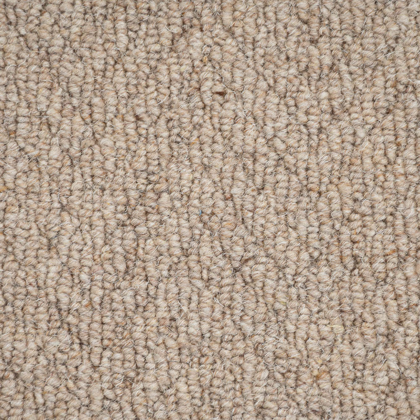 Biscotti Royal Sterling Wool Loop Carpet by Abingdon