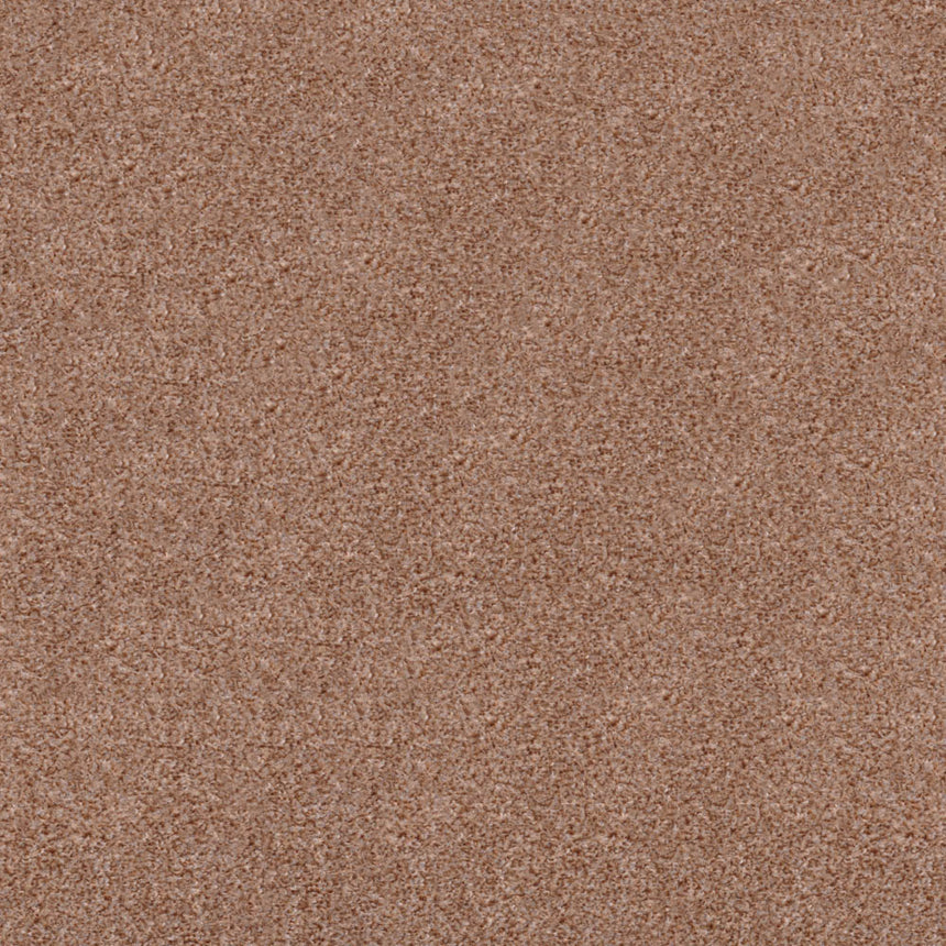 Biscuit 918 Dublin Heather Twist Actionback Carpet Clearance