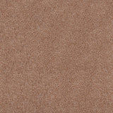 Biscuit 918 Dublin Heather Twist Actionback Carpet Clearance