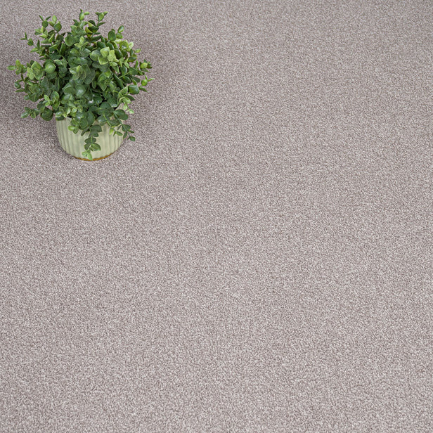 Biscuit Beige Highgrove Elite Twist Carpet