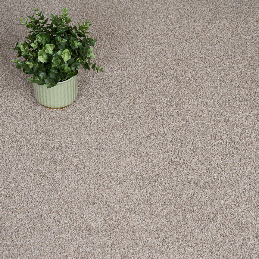 Biscuit Beige Louisiana Saxony Carpet