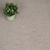 Biscuit Beige Louisiana Saxony Carpet