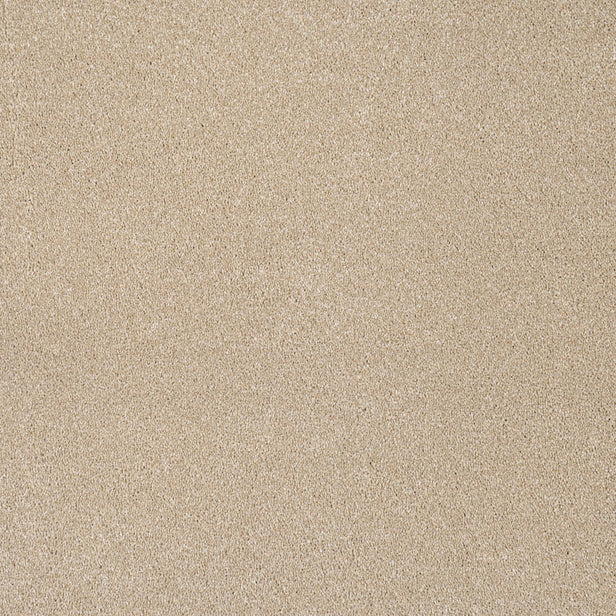 Biscuit Beige Moxie Saxony Carpet