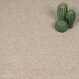 Blanched Almond 30 Dorado 56oz Invictus Gaia Carpet