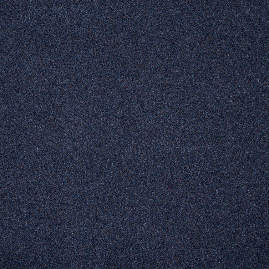 Wilton Royal Charter Berber Deluxe Carpet by Abingdon