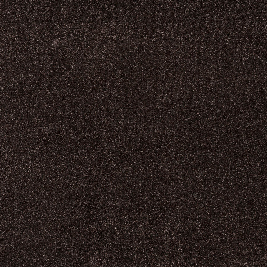 Bourneville Stainfree Caress Carpet by Abingdon