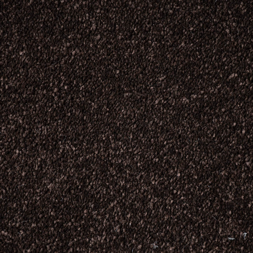 Bourneville Stainfree Caress Carpet by Abingdon