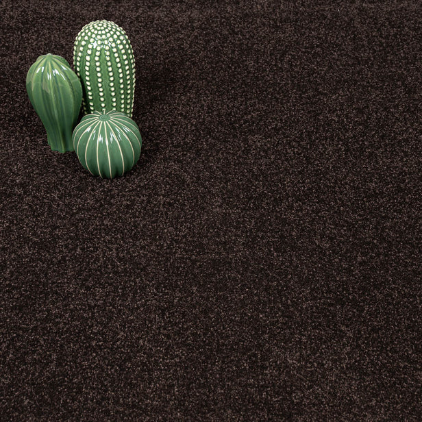 Bourneville Stainfree Caress Carpet by Abingdon