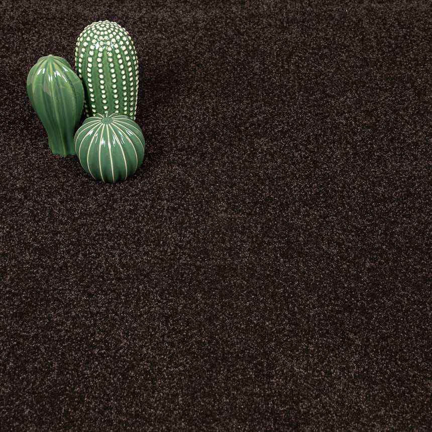 Bourneville Stainfree Caress Carpet by Abingdon