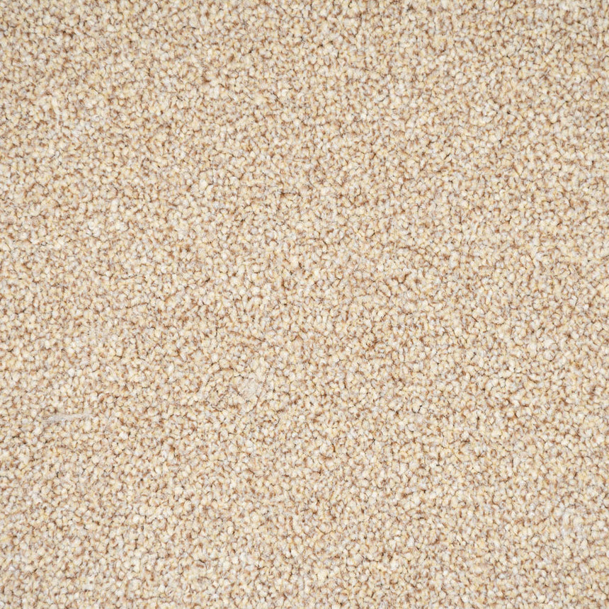 Brioche Primo Naturals Carpet by Cormar