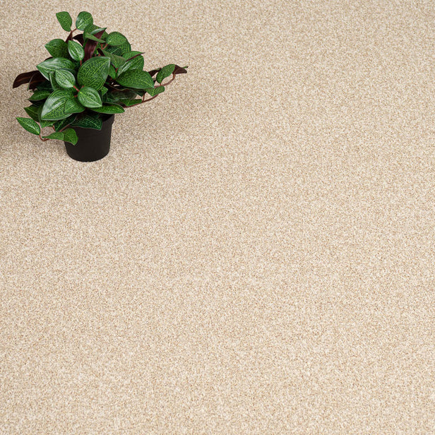 Brioche Primo Naturals Carpet by Cormar