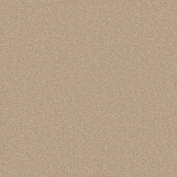 Brioche Primo Naturals Carpet by Cormar