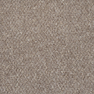 Brown Beige Alabama Loop Carpet