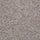 Brown Beige