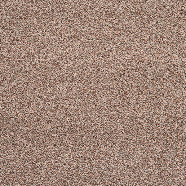 Brown Catalonia Saxony Carpet 5m x 5m Remnant