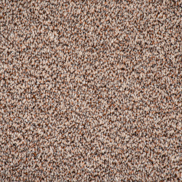 Brown Catalonia Saxony Carpet