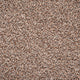 Brown Catalonia Saxony Carpet