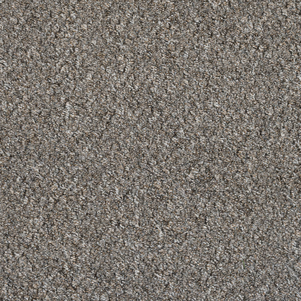 Brown Grey 5519 Alabama Loop Carpet | Loop Carpets Online | Online Carpets
