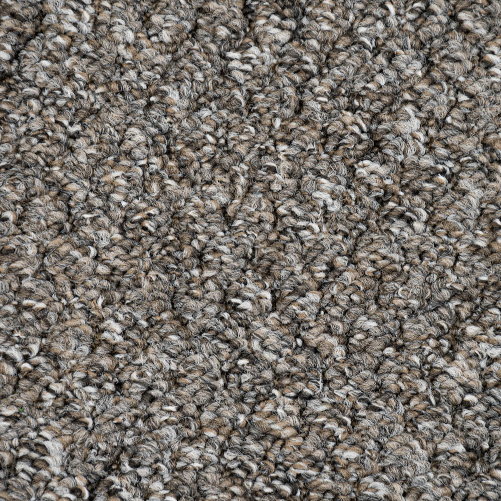 Brown Grey 5519 Alabama Loop Carpet | Loop Carpets Online | Online Carpets