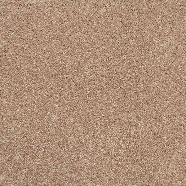 Brushed Cotton 700 Soft Noble Actionback Carpet 4.04m x 5m Remnant