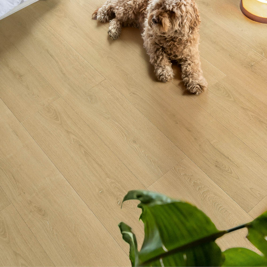 Brushed Oak Natural SIG4763 Capture 9mm Laminate Flooring by Quick-Step