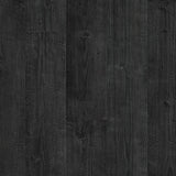 Burned Planks IM1862