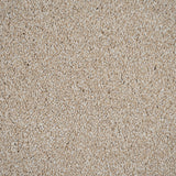 Buttermilk 30 Cassius 70oz Invictus Carpet