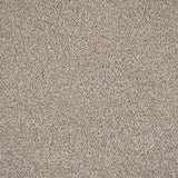 Buttermilk 30 Darius 50oz Invictus Carpet