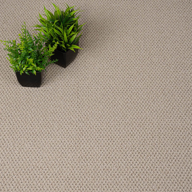 Canvas Primo Textures Carpet by Cormar
