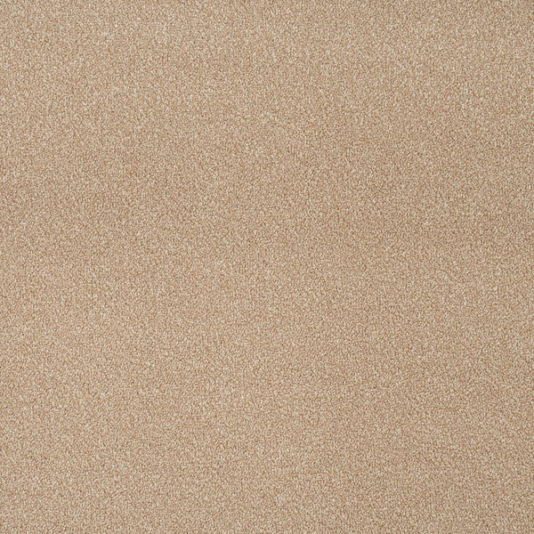 Apollo Plus Carpet | Buy Apollo Plus Carpets Online | Online Carpets