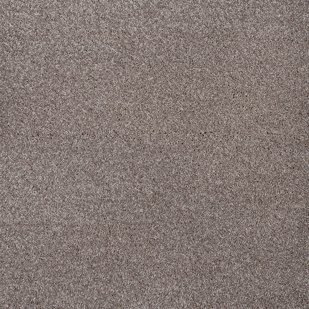 Caramel Brown 40 Centaurus Invictus Carpet
