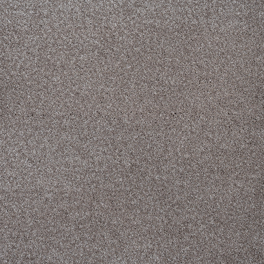Caramel Brown 40 Centaurus Invictus Carpet