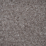Caramel Brown 40 Centaurus Invictus Carpet