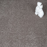 Caramel Brown 40 Centaurus Invictus Carpet