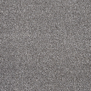 Carbon Florence Saxony Carpet