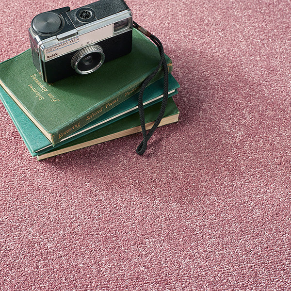Pink Whisper Stainfree Caress Carpet by Abingdon